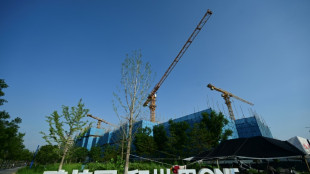 Chinese developer Country Garden reports $6.7 bn loss