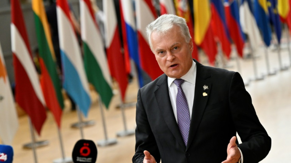 Litauens Pr&auml;sident: Nato-Gipfel wird der Ukraine "viel" bieten
