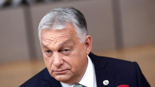 Orban, il gay pride a Budapest è stato una vergogna