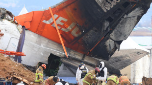 Disastro aereo in Corea Sud, è stato spento il motore sbagliato