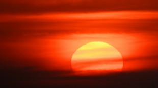 Las olas de calor del verano dejaron un r&eacute;cord de 16.300 muertos en Alemania