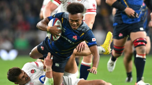 Japan name squad to begin Rugby World Cup countdown