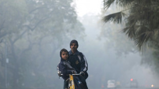 India anuncia sus nuevos compromisos en materia de clima para 2035