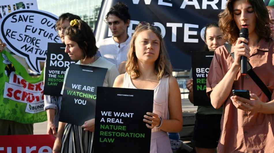 Greta Thunberg demonstriert mit Fridays for Future f&uuml;r EU-Naturschutzgesetz