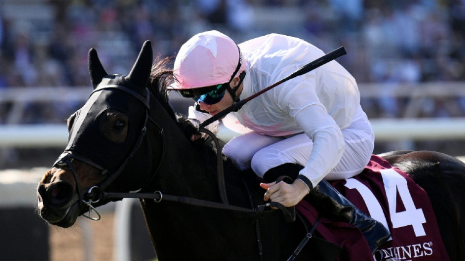 Ethical Diamond surges to upset win in $5 million Breeders' Cup Turf