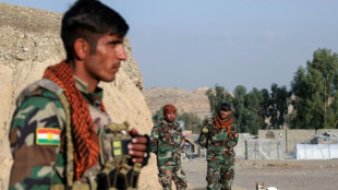 Ir&aacute;n despliega unidades blindadas en las regiones kurdas