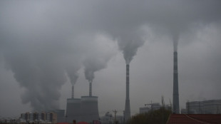 Pro-Kopf-Emissionen aus Kohleverbrennung in G20-Staaten weiter gestiegen