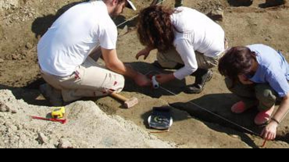 Dalle Prealpi bergamasche riemerge il cranio di un antico rettile marino corazzato