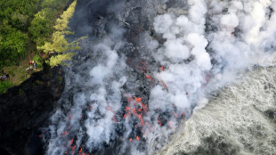 La R&eacute;union: les autorit&eacute;s alertent face aux "comportements dangereux" pr&egrave;s du volcan en &eacute;ruption