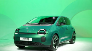 Avec la nouvelle Twingo, Renault veut réveiller le marché des électriques "abordables"