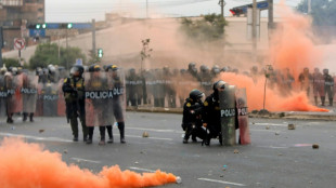 Peruvians place little trust in political class to solve crisis: experts