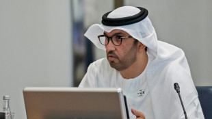 UAE names oil chief as president of COP28 climate talks