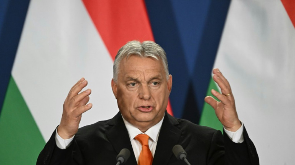 Gelder aus dem Ausland: Ungarn verschärft Regeln für Nichtregierungsorganisationen