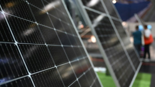 Habeck will Ausbau der Solarenergie mit "Solarpaket I" beschleunigen 