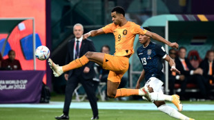 Gakpo on target but Dutch disappoint in World Cup draw with Ecuador