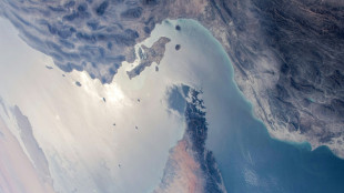 Le détroit d'Ormuz, passage stratégique sous haute tension