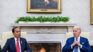 Indonesiens Pr&auml;sident fordert von Biden mehr Einsatz f&uuml;r Ende der Gewalt im Gazastreifen