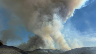 Scores of homes razed, one dead in Australian bushfires