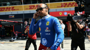 Hamilton reveals 'hardest decision' over dog's death