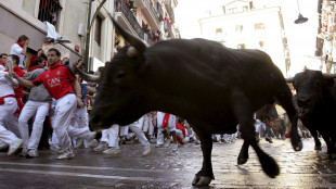Un ferito per una cornata alla festa dei tori di Pamplona