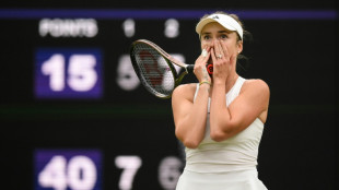 'Are you crazy?': Svitolina writes off Wimbledon title dream
