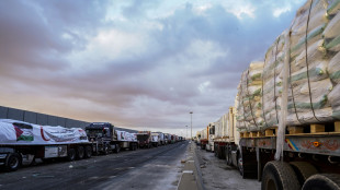 Al Jazeera, camion di aiuti per Gaza entrano dai valichi