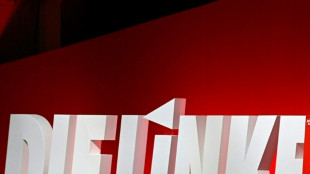 Linke beschlie&szlig;t Europawahlprogramm und will Vertrauen zur&uuml;ckgewinnen
