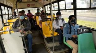 La OMS quiere identificar pat&oacute;genos que pueden causar pandemias
