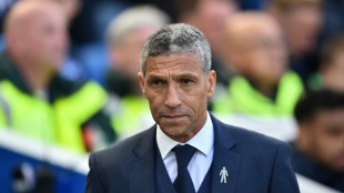 Former Brighton, Newcastle coach Hughton named as new Ghana manager