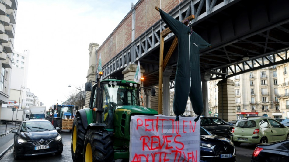 Un monde qui "marche sur la t&ecirc;te": r&eacute;cit d'une grande col&egrave;re agricole