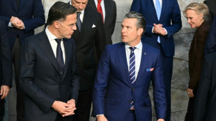 Rutte und Hegseth erwarten mehr Waffenkäufe von Nato-Ländern in den USA