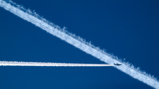 Airlines erwarten im kommenden Jahr Rekordzahl an Flugg&auml;sten