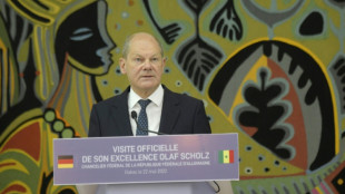 Scholz empf&auml;ngt Staats- und Regierungschefs aus Afrika zu Wirtschaftsgipfel