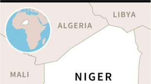 Suspected jihadist attack kills 11 in Niger: local sources