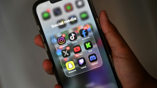 Franz&ouml;sischer Verfassungsrat kippt Social-Media-Verbot f&uuml;r unter 15-J&auml;hrige