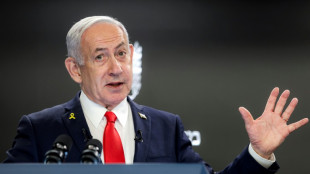 Netanjahu verteidigt israelische Gaza-Pläne - Scharfe Kritik im UN-Sicherheitsrat