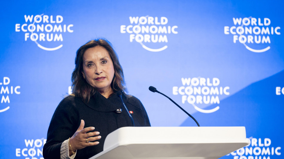 La presidente Boluarte, 'per il Perù storica elezione del Papa'