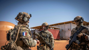 Francia captura a un alto responsable del grupo Estado Isl&aacute;mico en Mal&iacute;