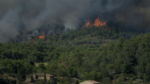 Feuerwehr in Südfrankreich kämpft weiter gegen schweren Waldbrand 