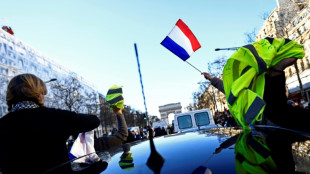 Protestkonvois blockieren Stra&szlig;en in Frankreich, Kanada und den Niederlanden