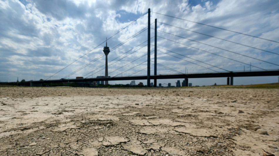 Petition zum Renaturierungsgesetz erreicht &uuml;ber eine Million Unterschriften