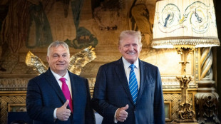 Quand la recette de l'illibérale Hongrie inspire Donald Trump