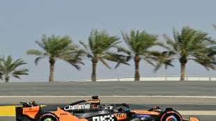 McLaren's Piastri claims Bahrain pole as Verstappen struggles