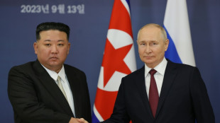 Medien: Putin nimmt Einladung Kims nach Nordkorea an 