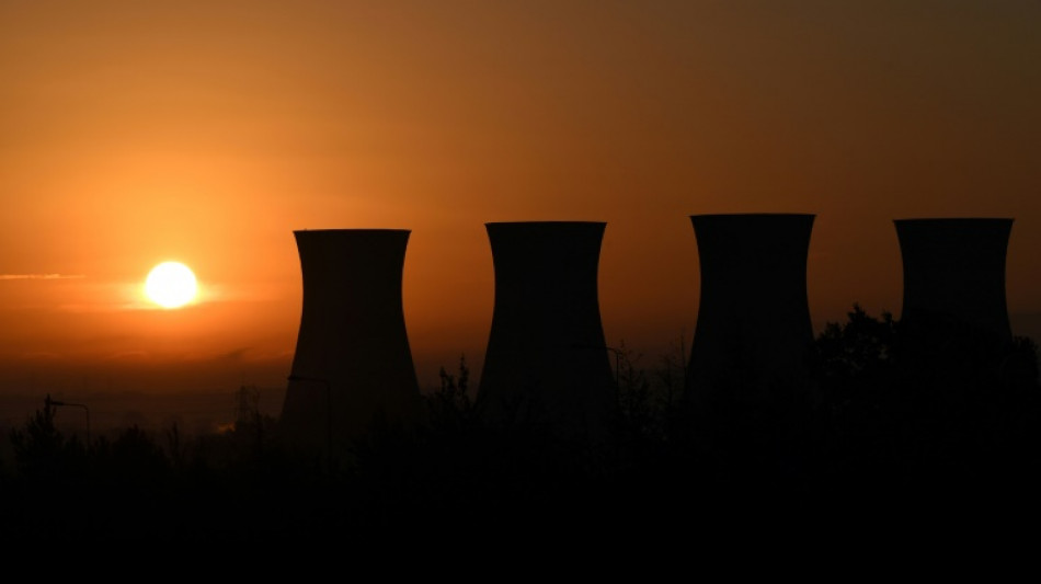 Britische Regierung halbiert Subventionen für Holzpellet-Kraftwerk Drax