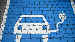Neuzulassungen in der EU bis August gestiegen - Marktanteil von E-Autos bei 22 Prozent 