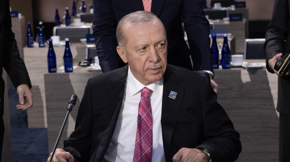 Media, Erdogan parteciper&agrave; al vertice dei Brics in Russia