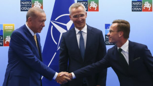 Baerbock gegen "Geschenke" an die T&uuml;rkei
