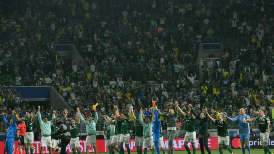 A ressurreição do Palmeiras, um gigante da Libertadores