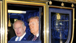 Accueil royal somptueux à Windsor pour Trump en visite d'Etat
